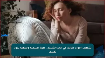 لترطيب أجواء منزلك في الحر الشديد.. طرق طبيعية وسهلة بدون تكييف